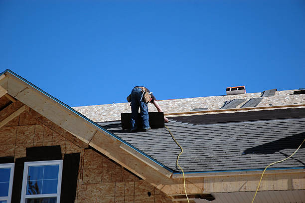 Best Roof Gutter Cleaning  in Salem, SD