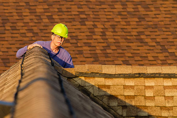 Roof Gutter Cleaning in Salem, SD
